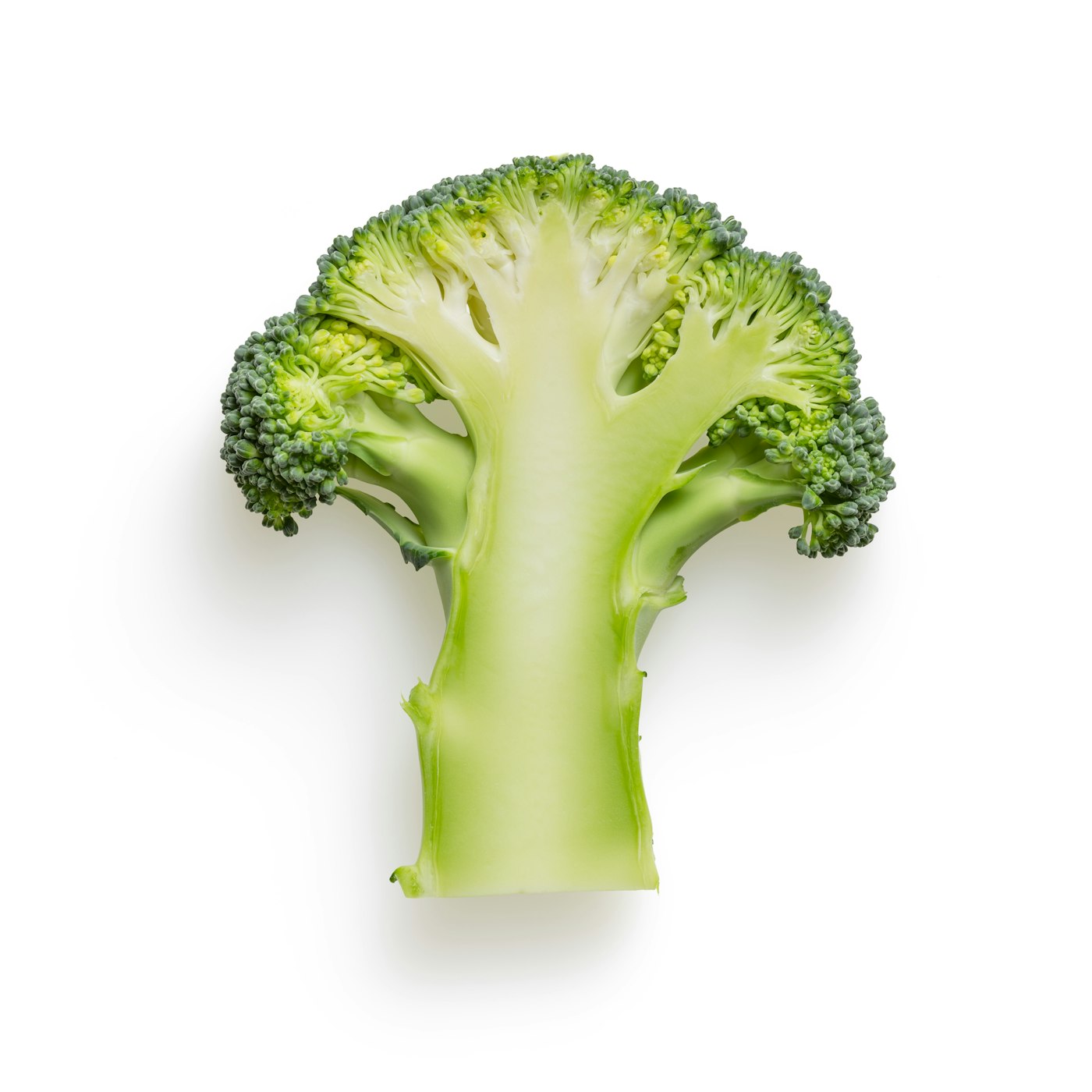 Kjøkkenhåndkle Lin